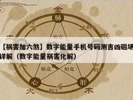 祸害加六煞|祸害加六煞的数字能量